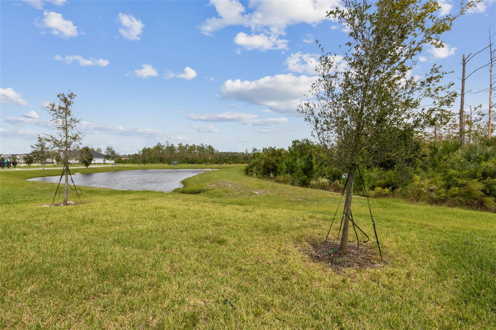 124 NIGHTHAWK LN, PALM COAST, FL, 32164