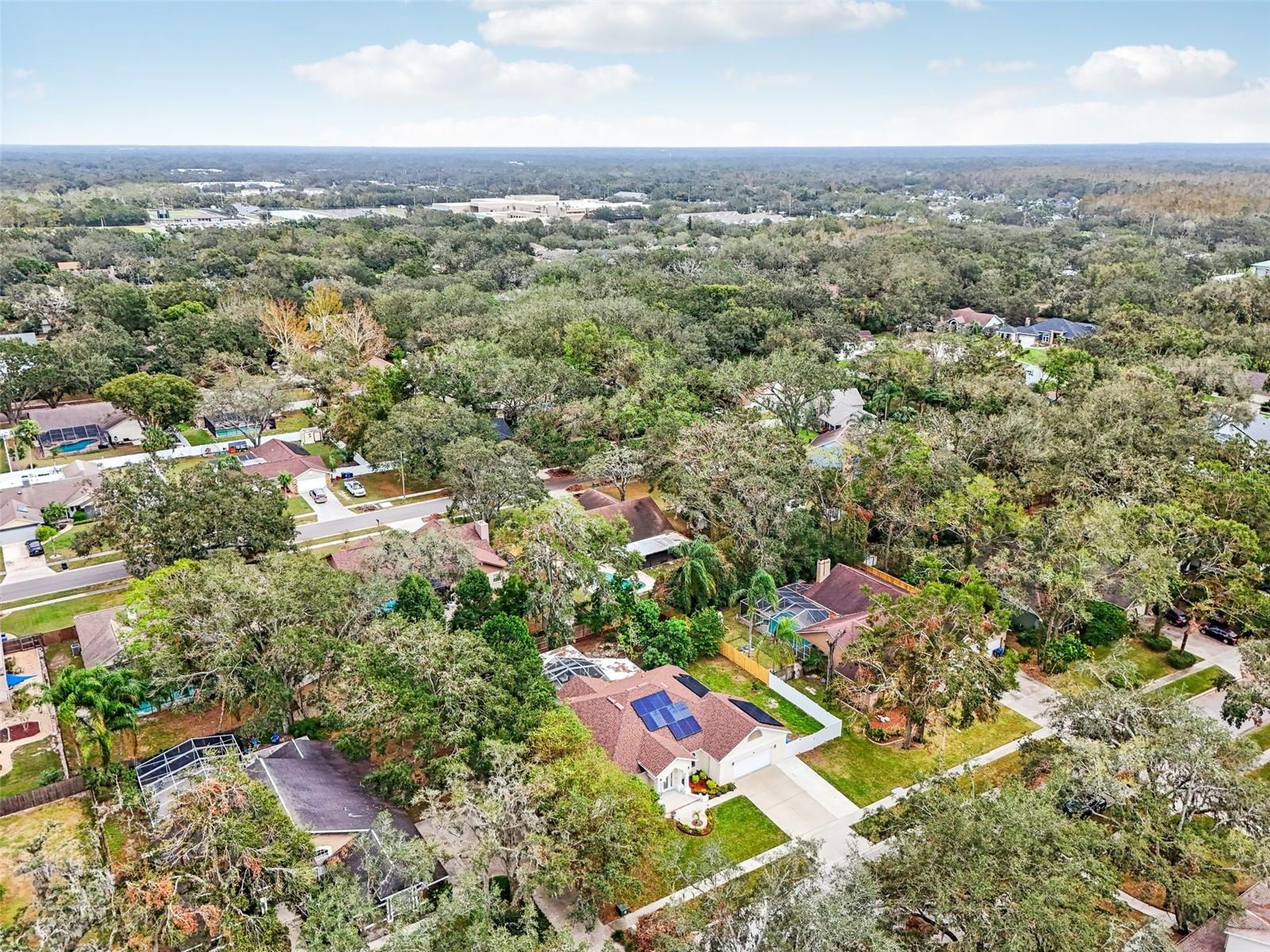 3017 COLONIAL RIDGE DR, BRANDON, FL, 33511