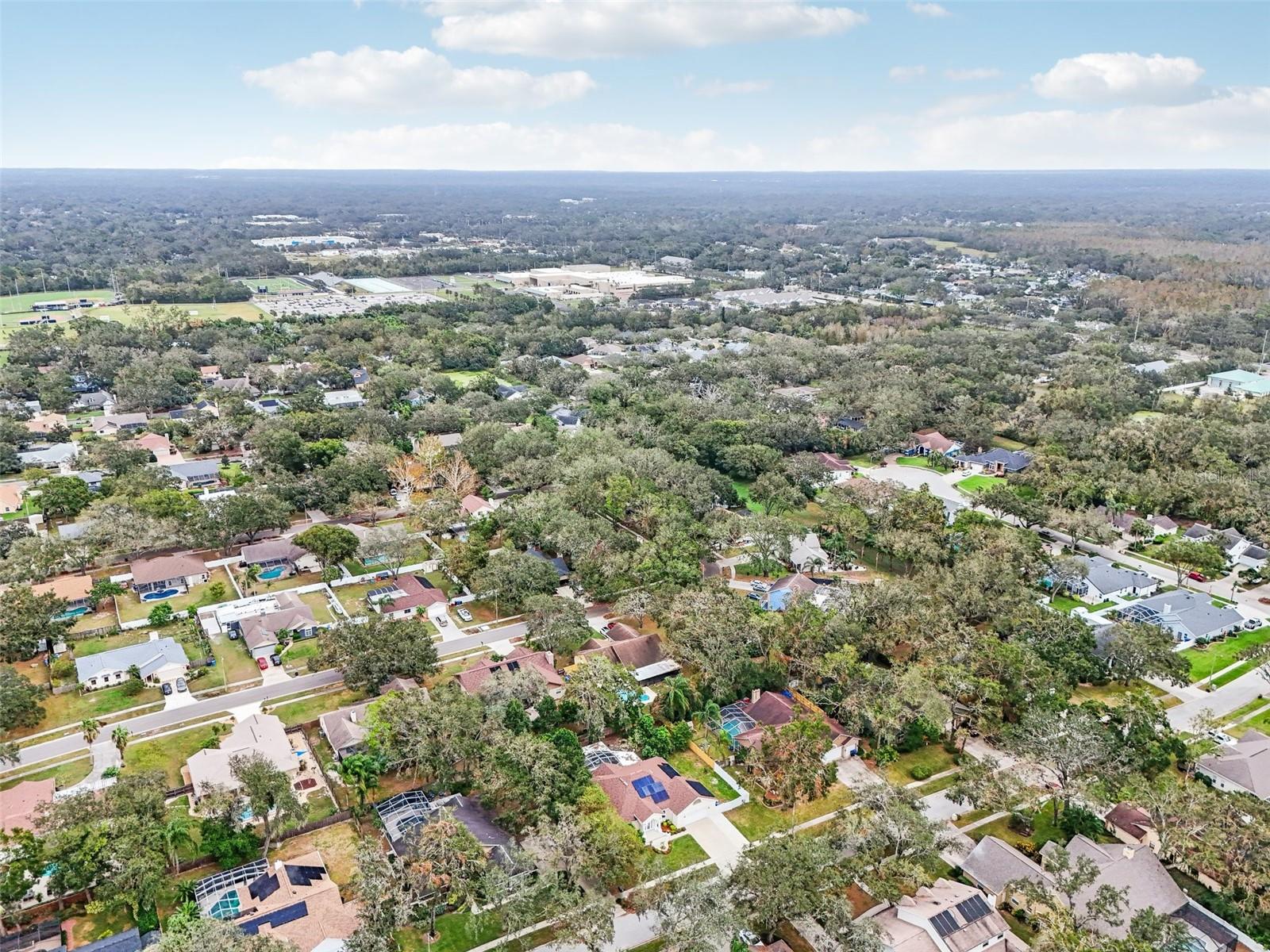 3017 COLONIAL RIDGE DR, BRANDON, FL, 33511