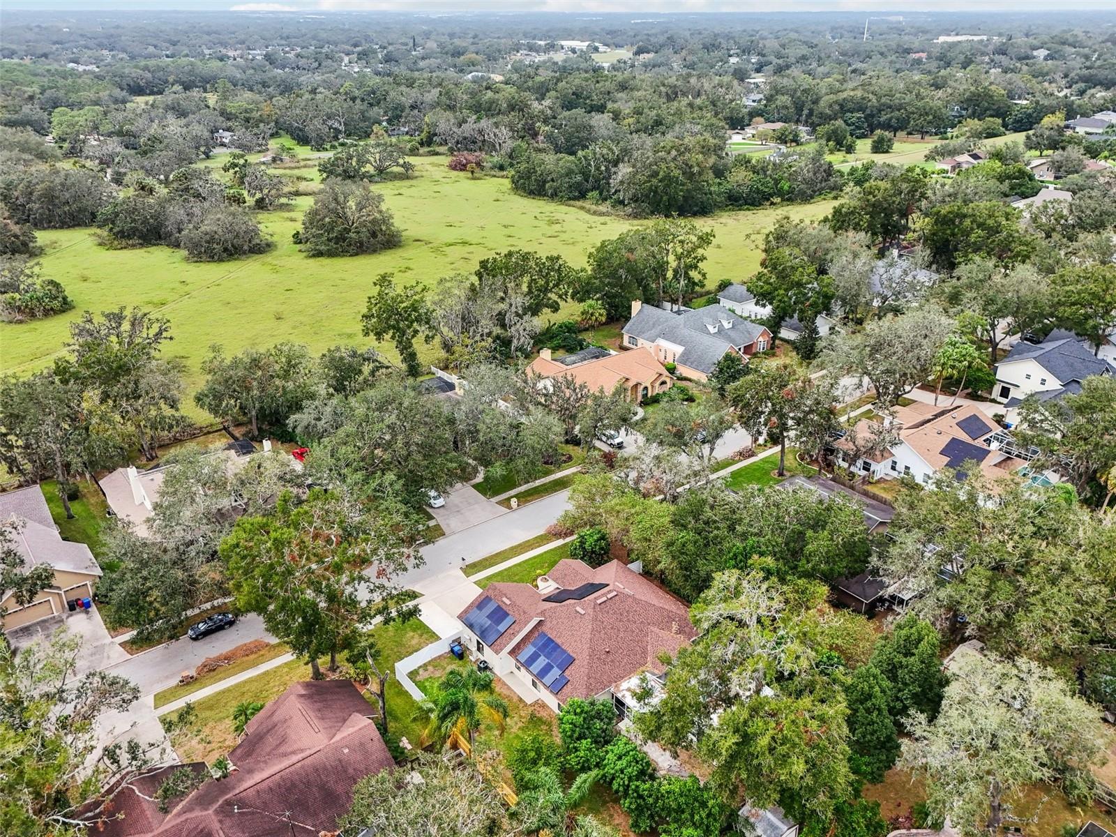 3017 COLONIAL RIDGE DR, BRANDON, FL, 33511