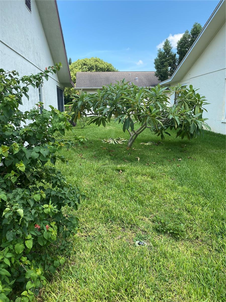 8101 CASUARINA DR, PORT RICHEY, FL, 34668