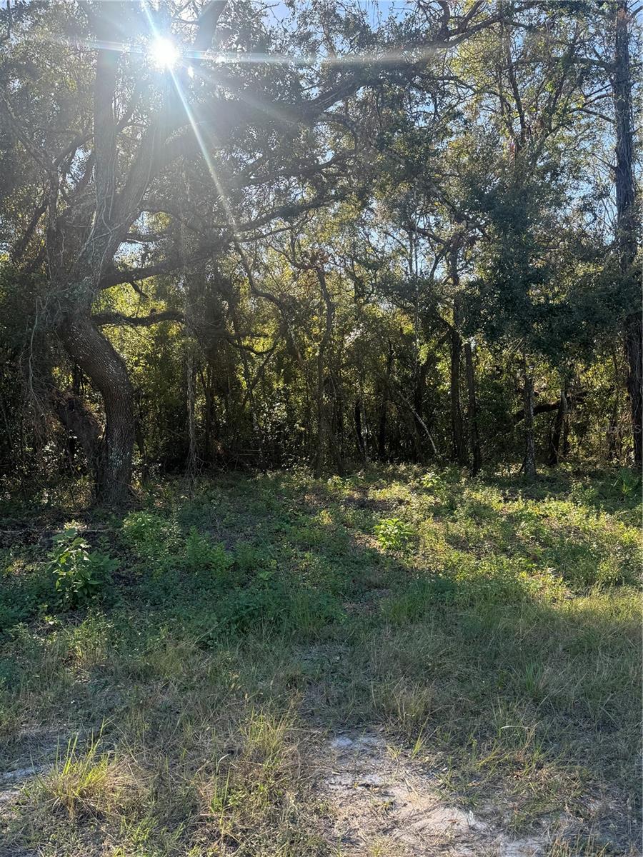 14004 PEACE BLVD, SPRING HILL, FL, 34610