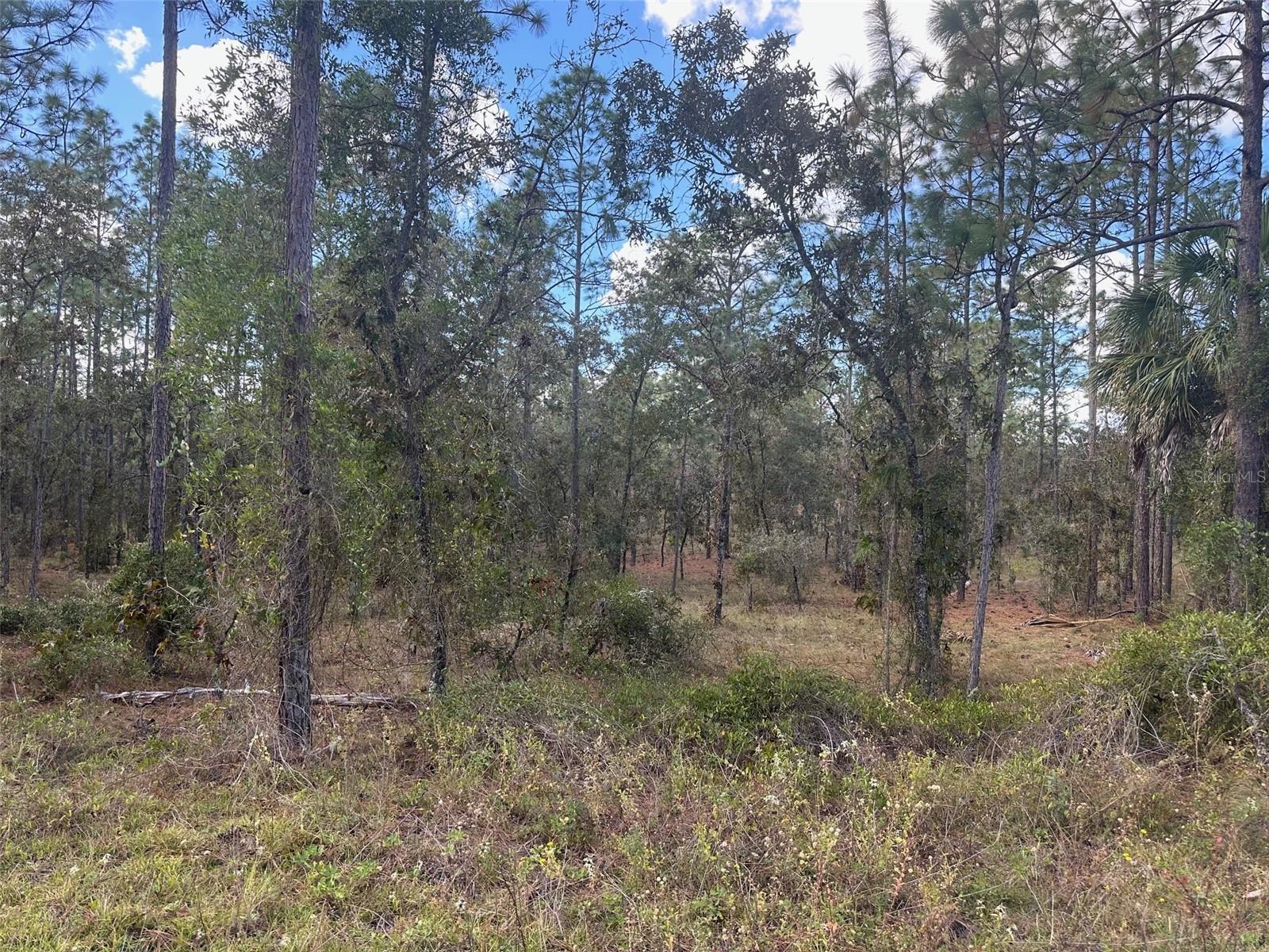 SE 129TH CT, DUNNELLON, FL, 34431