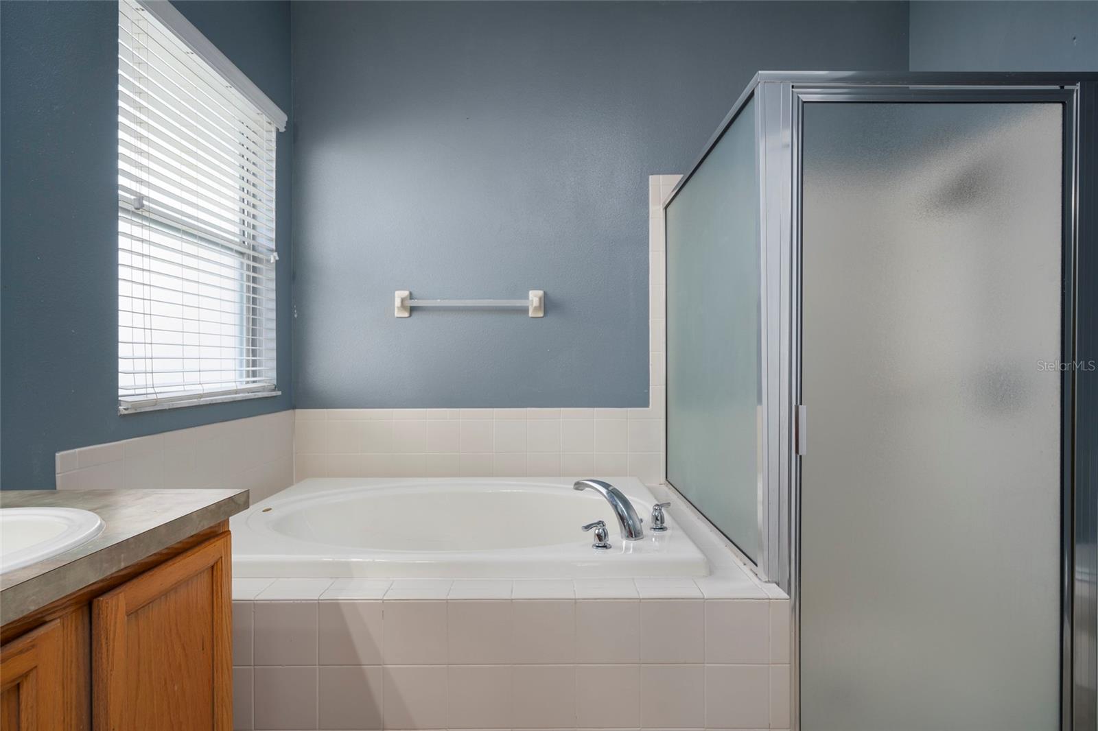 9423 BLACK THORN LOOP, LAND O LAKES, FL, 34638