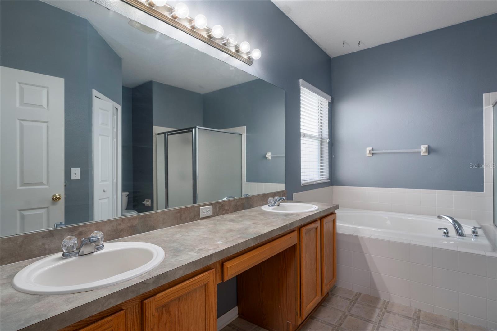 9423 BLACK THORN LOOP, LAND O LAKES, FL, 34638