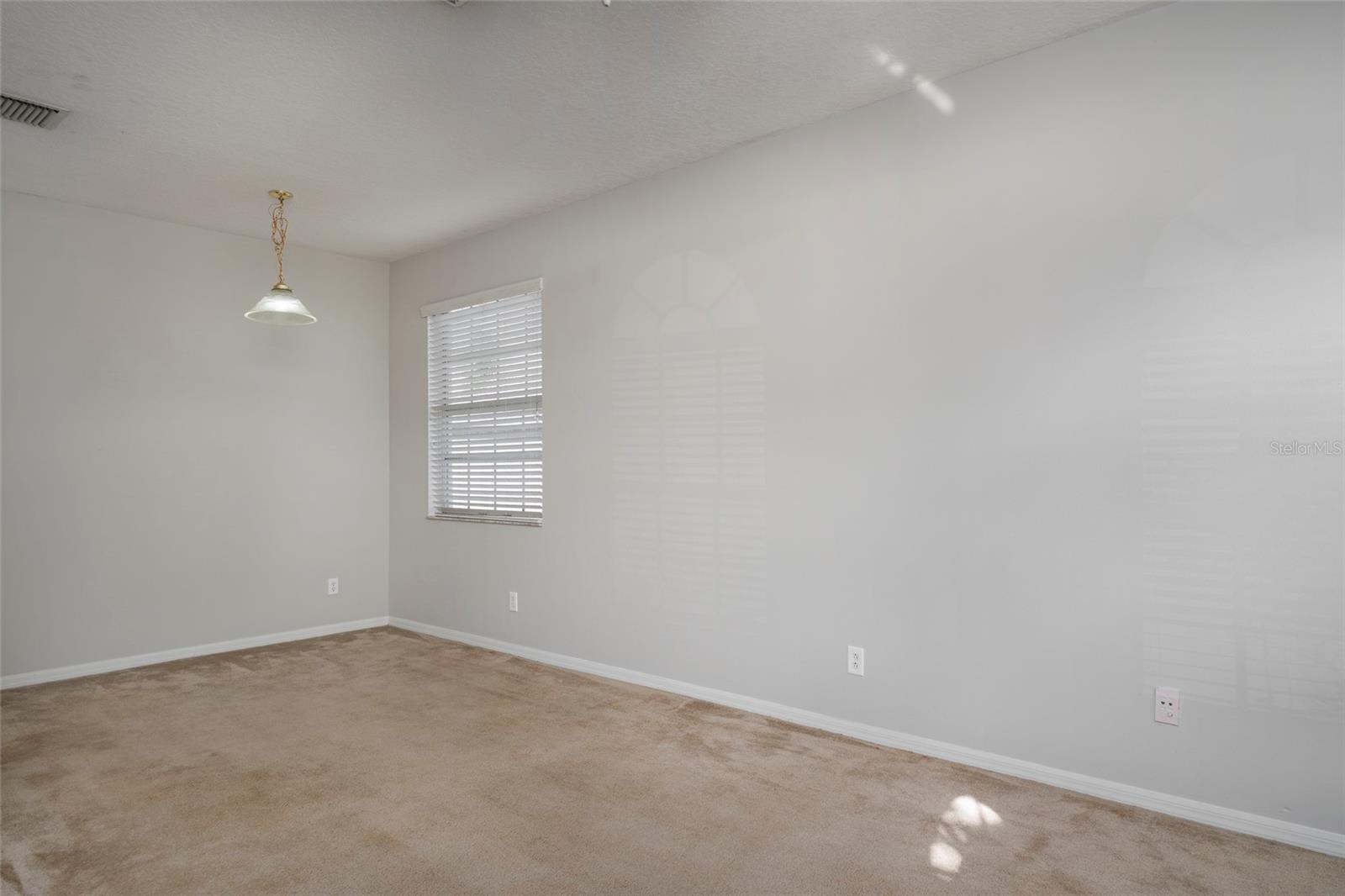 9423 BLACK THORN LOOP, LAND O LAKES, FL, 34638