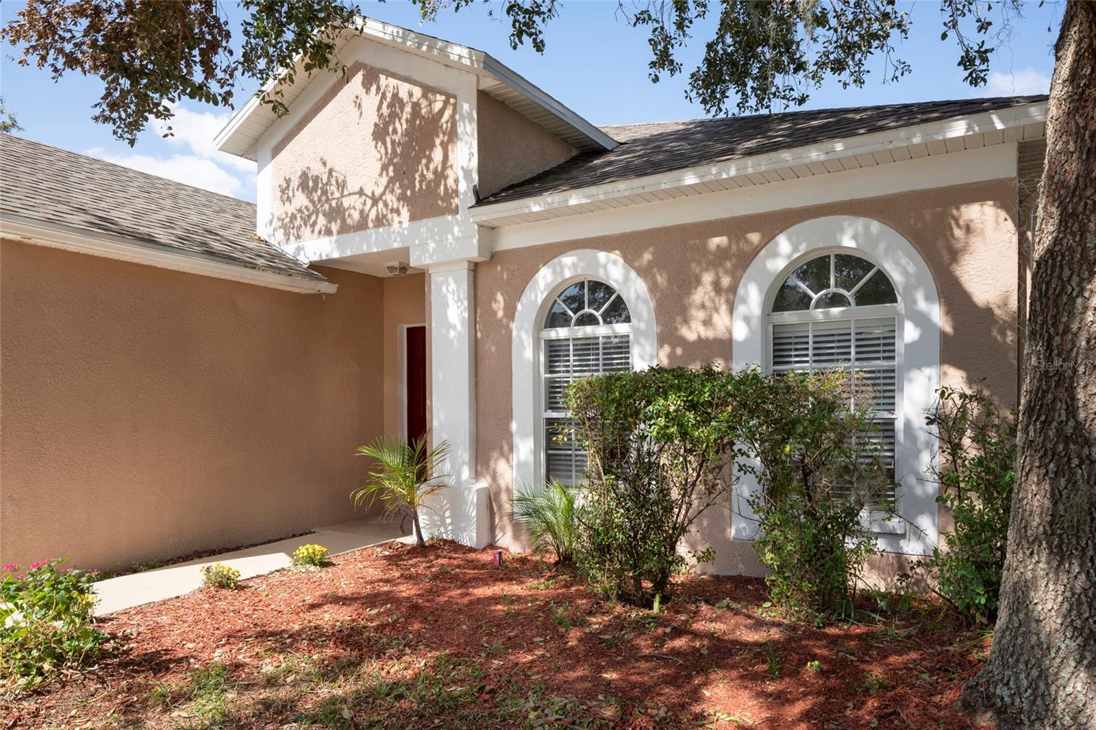 9423 BLACK THORN LOOP, LAND O LAKES, FL, 34638