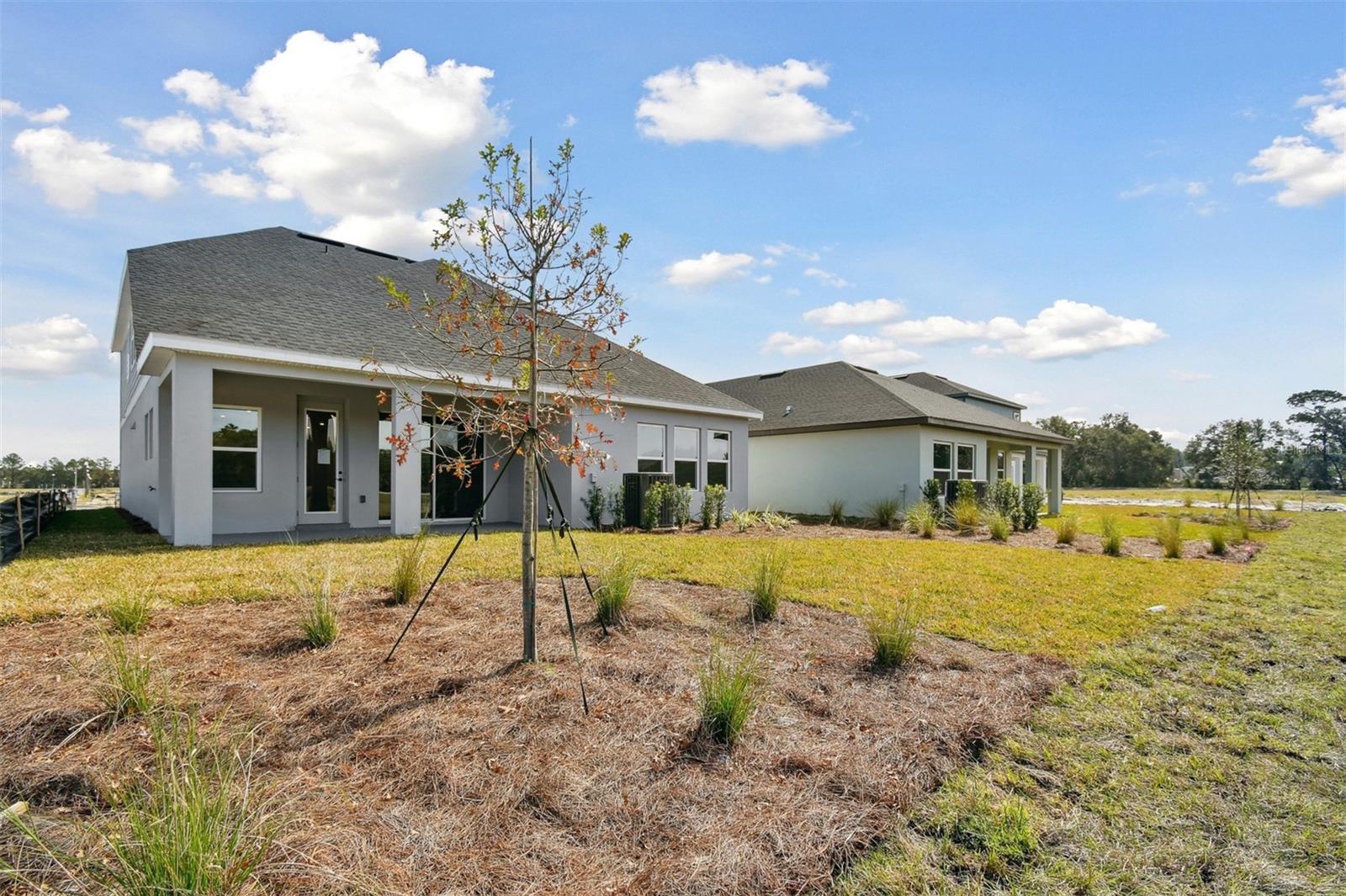 6086 SACRED OAK AVE, MOUNT DORA, FL, 32757