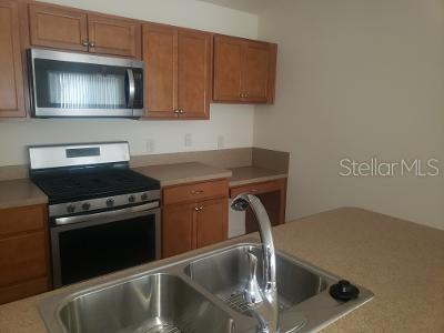 2520 HUBBS ST, THE VILLAGES, FL, 32163