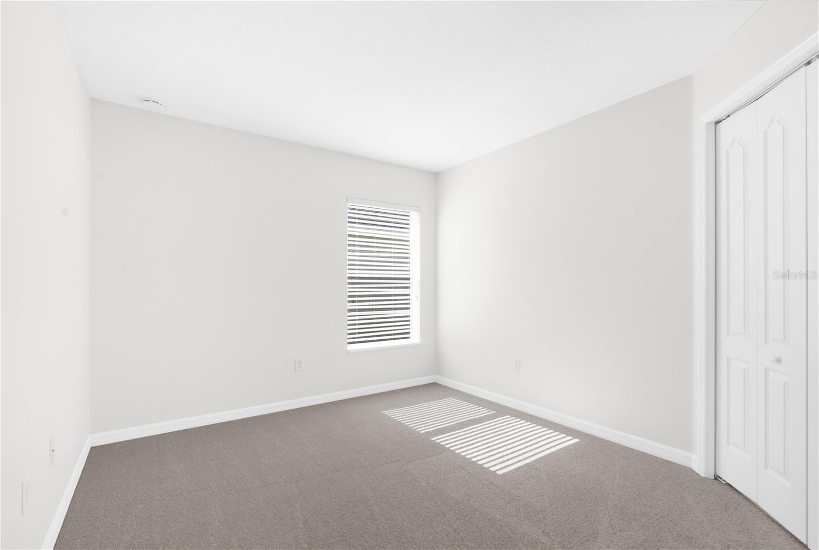 11136 ANCIENT FUTURES DR, TAMPA, FL, 33647