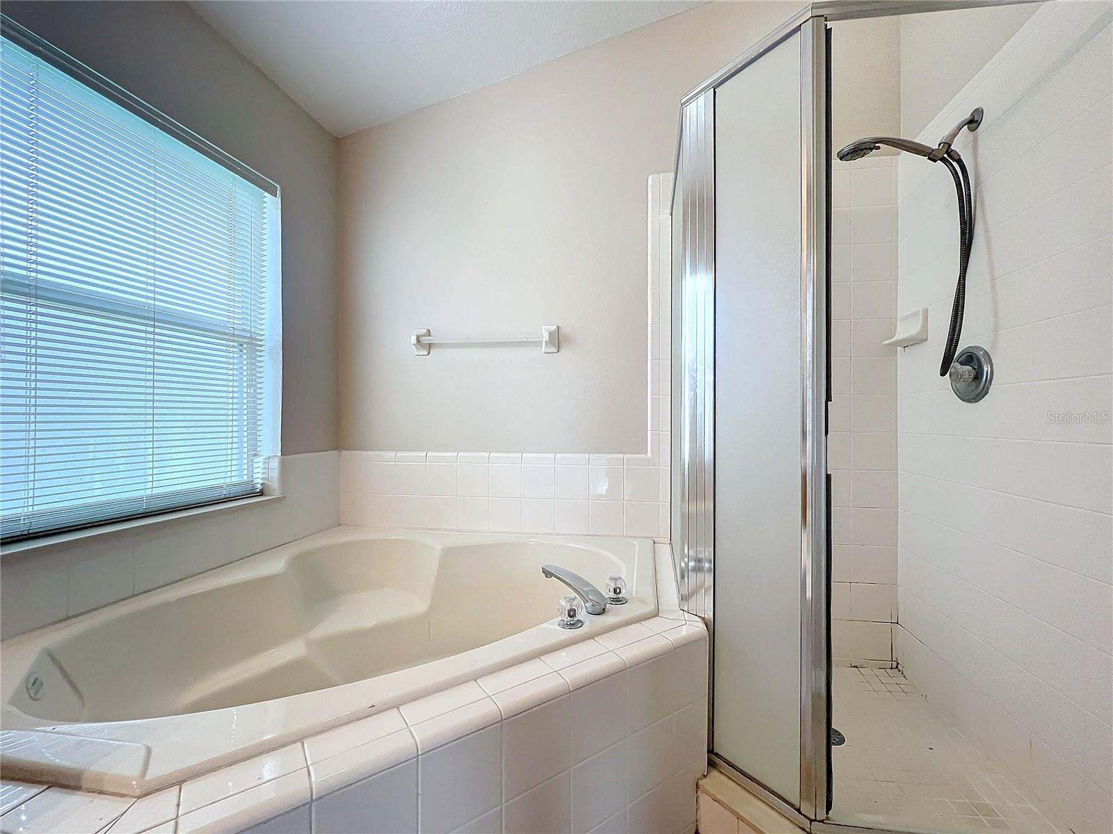 13718 GUILDHALL CIR, ORLANDO, FL, 32828