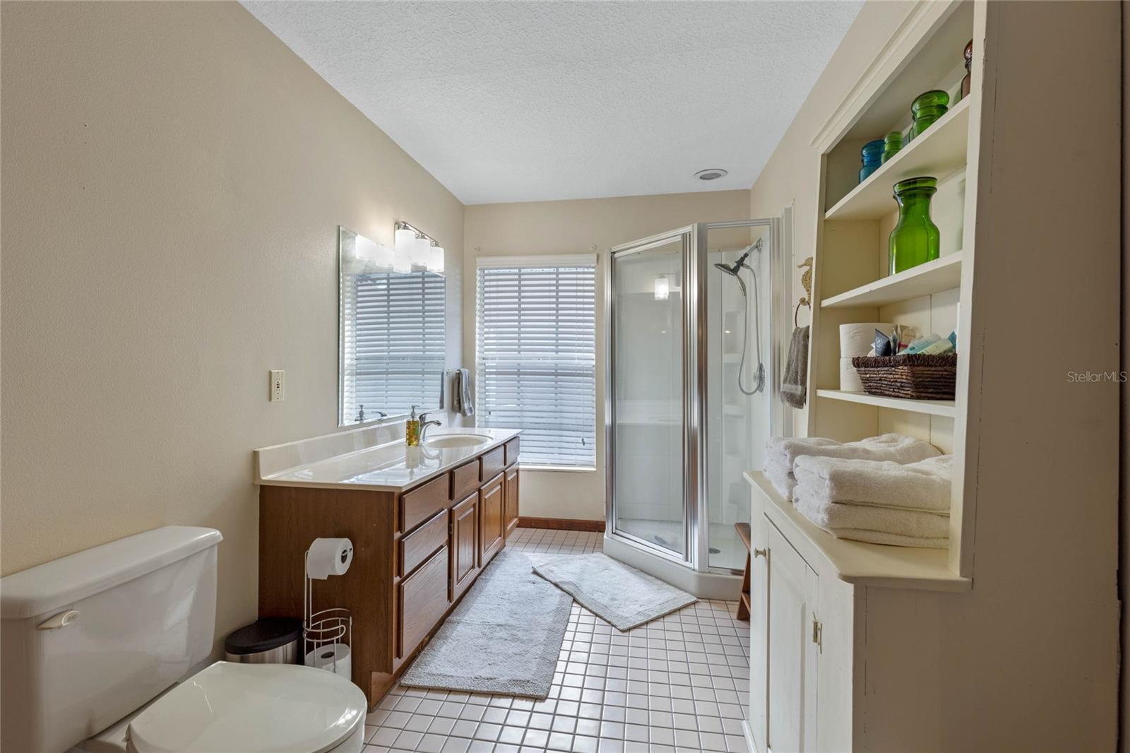 2982 LAKE WOODWARD DR, EUSTIS, FL, 32726