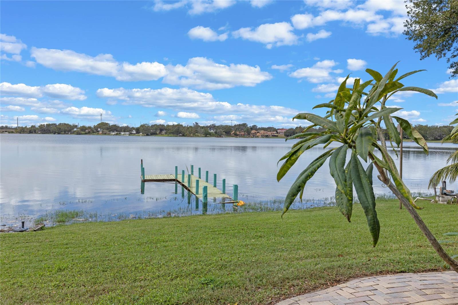 2982 LAKE WOODWARD DR, EUSTIS, FL, 32726