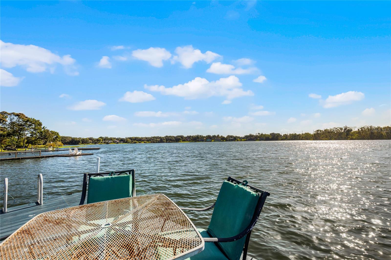 325 LAKEFRONT CT, EUSTIS, FL, 32726