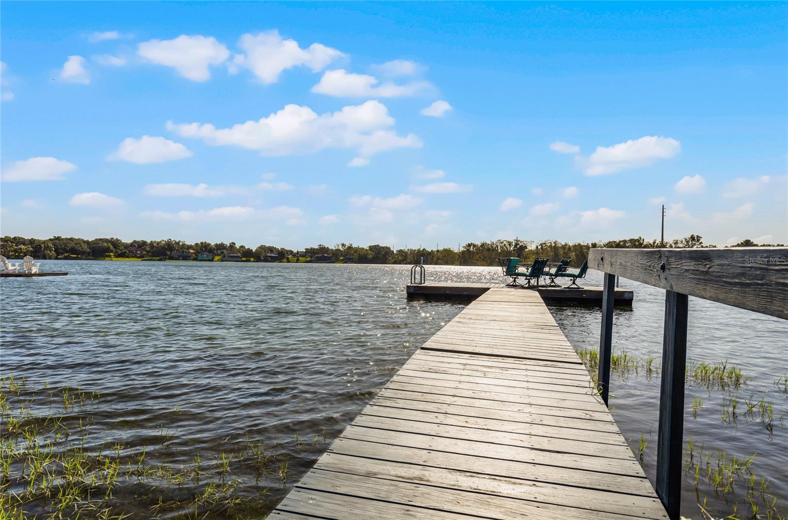 325 LAKEFRONT CT, EUSTIS, FL, 32726
