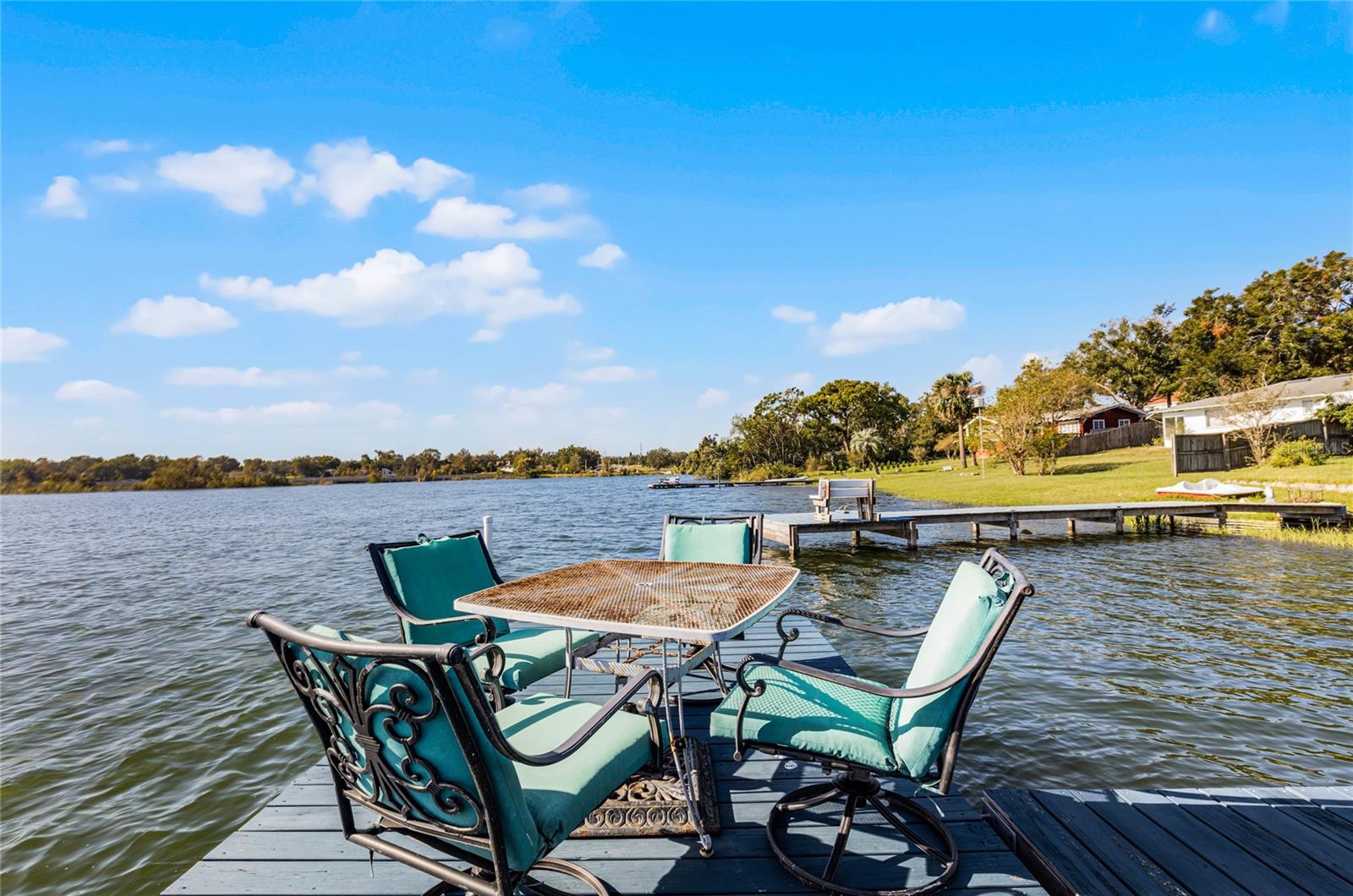 325 LAKEFRONT CT, EUSTIS, FL, 32726