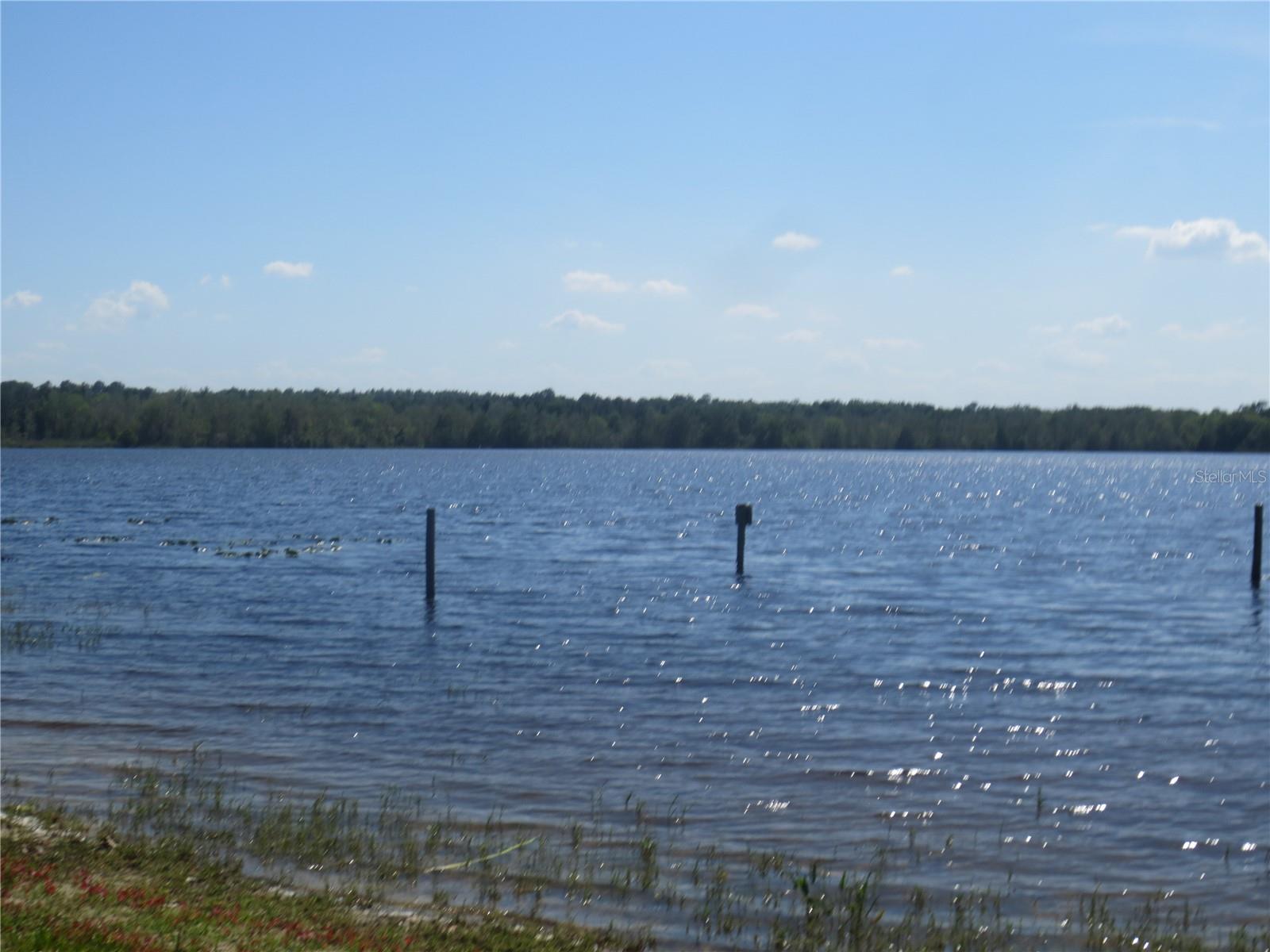 16939 SE 14TH STREET RD, SILVER SPRINGS, FL, 34488