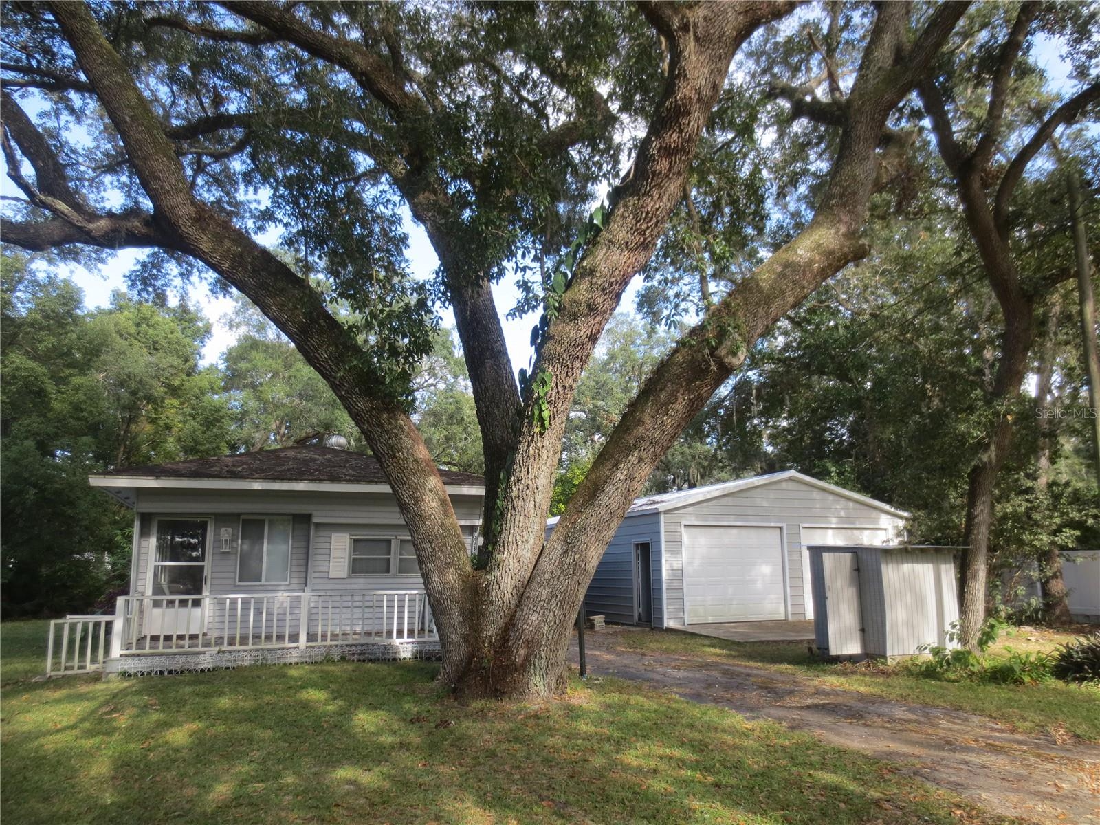 16939 SE 14TH STREET RD, SILVER SPRINGS, FL, 34488