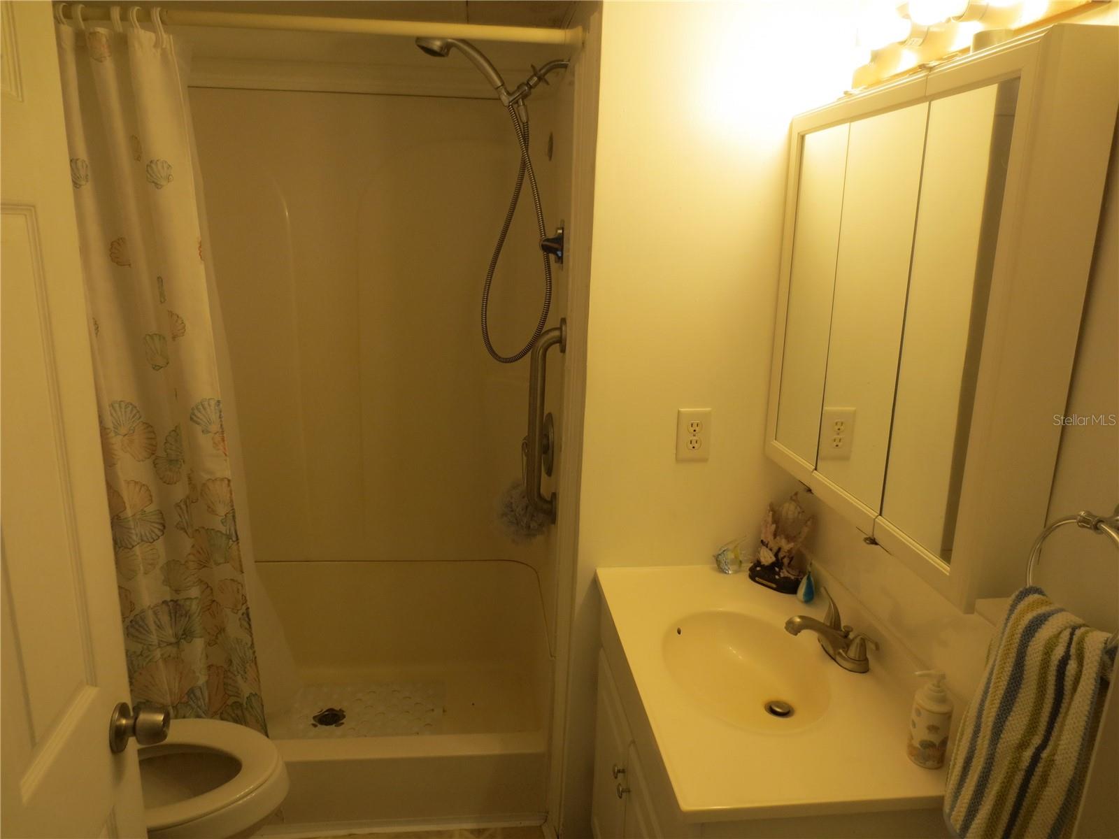 16939 SE 14TH STREET RD, SILVER SPRINGS, FL, 34488