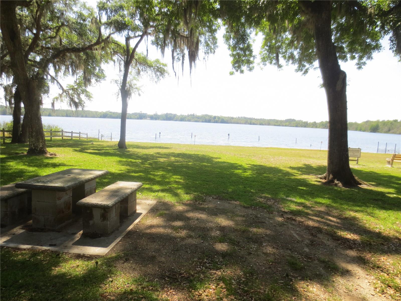 16939 SE 14TH STREET RD, SILVER SPRINGS, FL, 34488