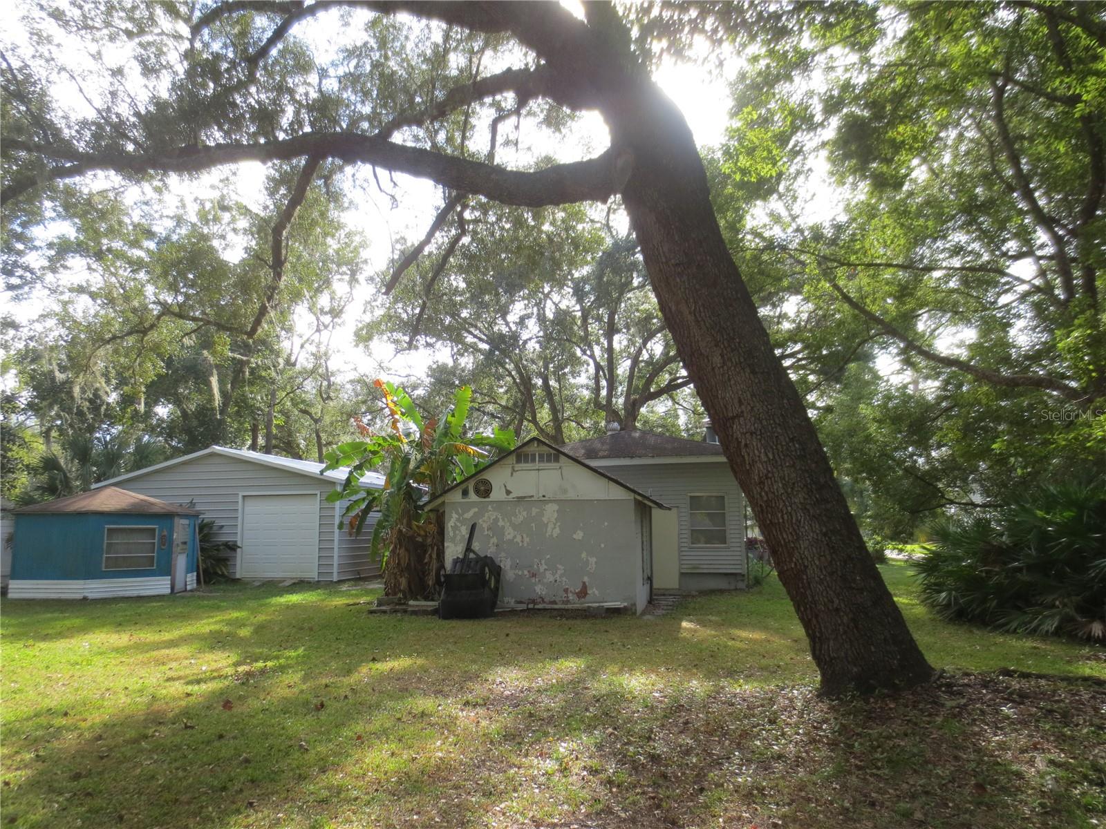 16939 SE 14TH STREET RD, SILVER SPRINGS, FL, 34488
