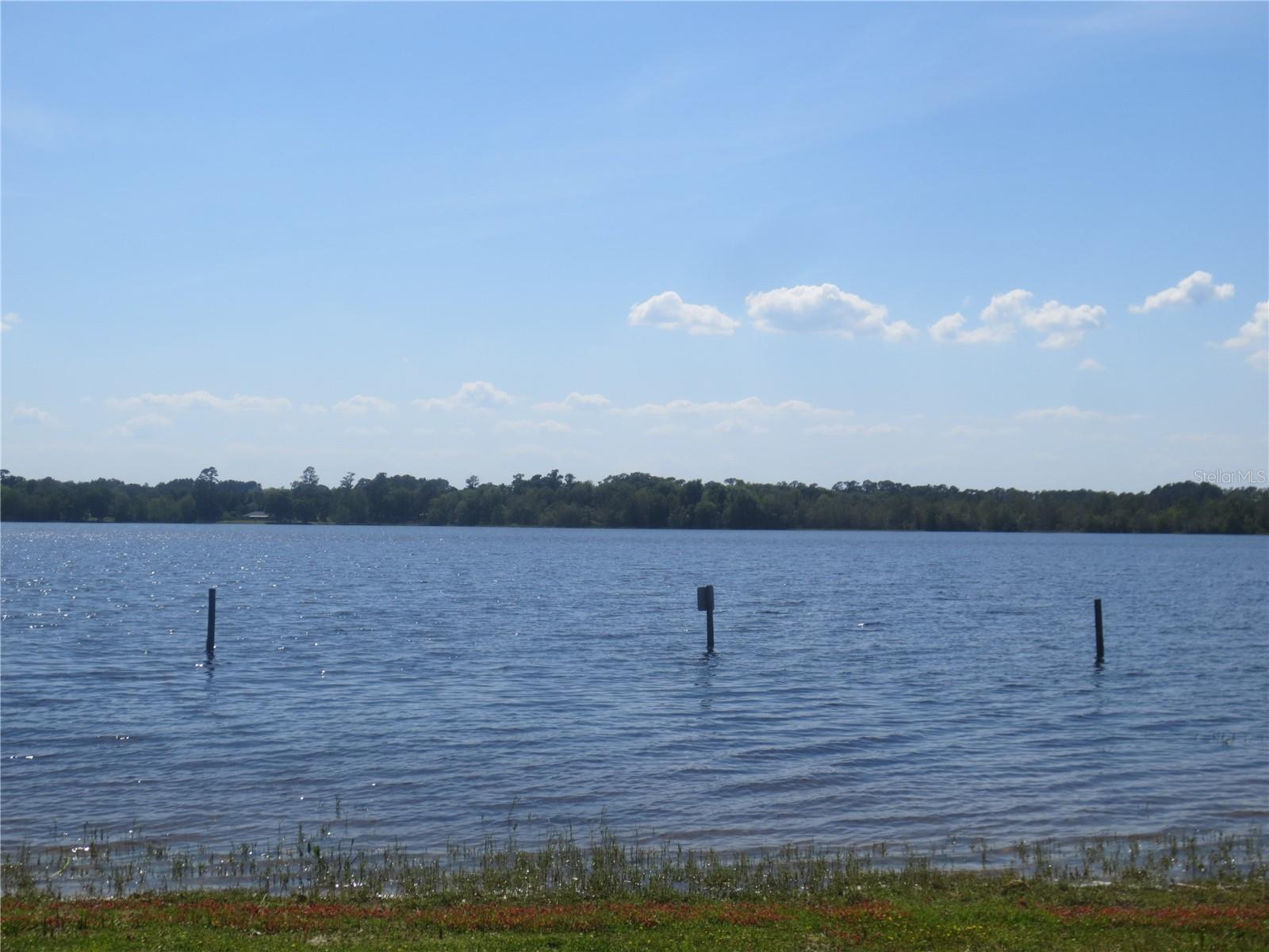 16939 SE 14TH STREET RD, SILVER SPRINGS, FL, 34488