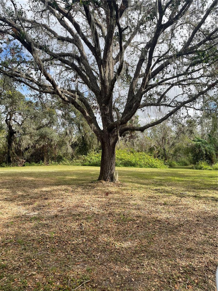 12355 DORIS RD, PARRISH, FL, 34219