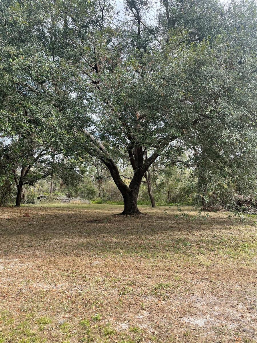 12355 DORIS RD, PARRISH, FL, 34219