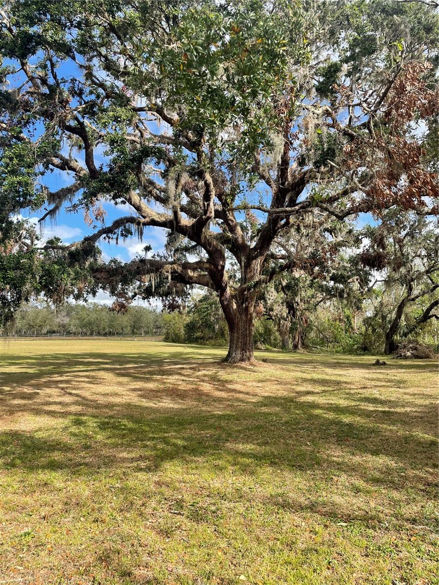 12355 DORIS RD, PARRISH, FL, 34219