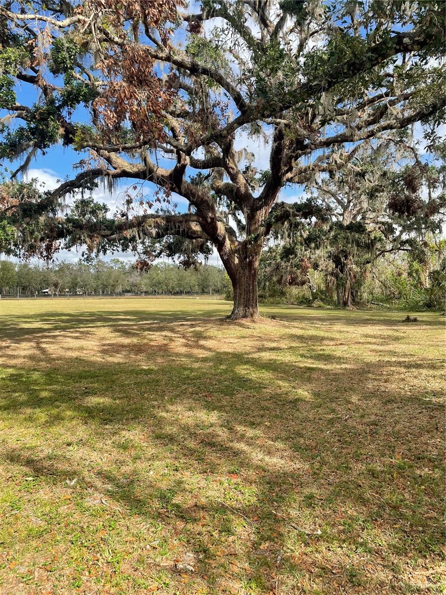 12355 DORIS RD, PARRISH, FL, 34219