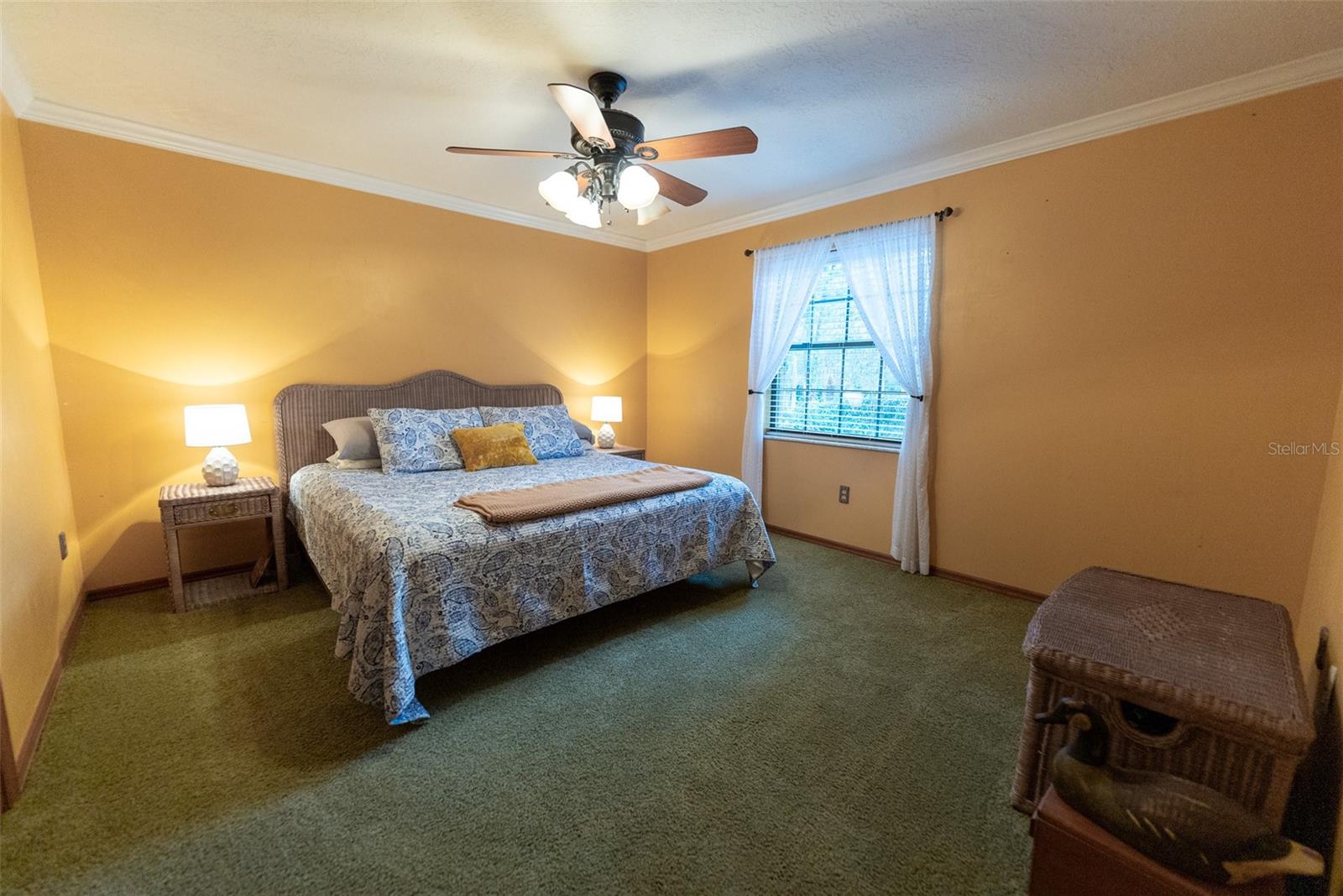 3630 NE 67TH TER, SILVER SPRINGS, FL, 34488