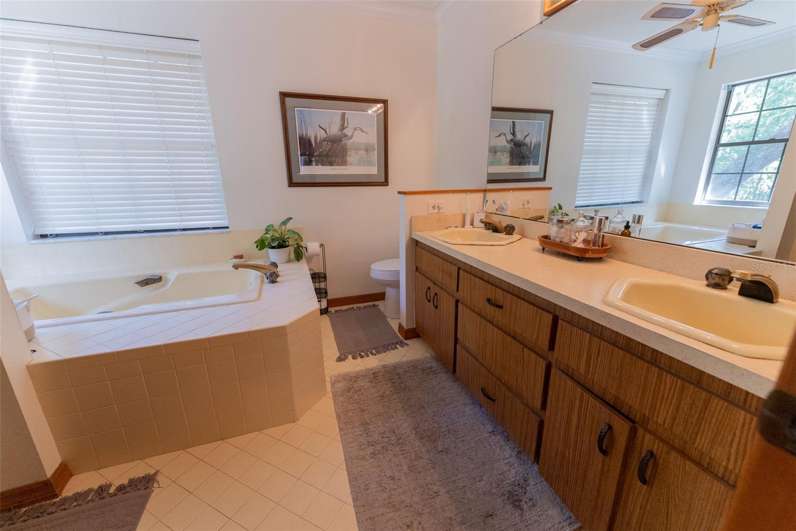 3630 NE 67TH TER, SILVER SPRINGS, FL, 34488