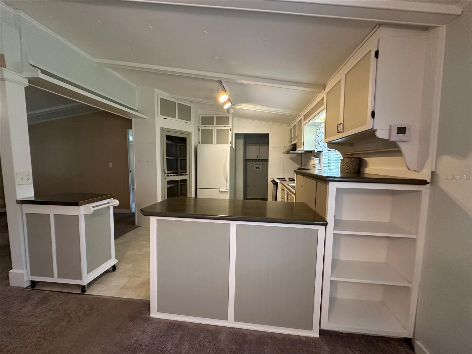 55137 ALCO RD, ASTOR, FL, 32102