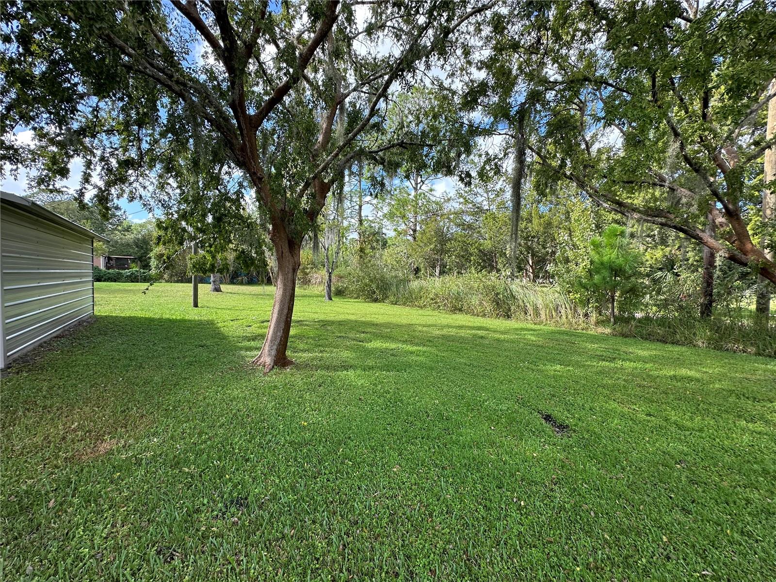 55137 ALCO RD, ASTOR, FL, 32102