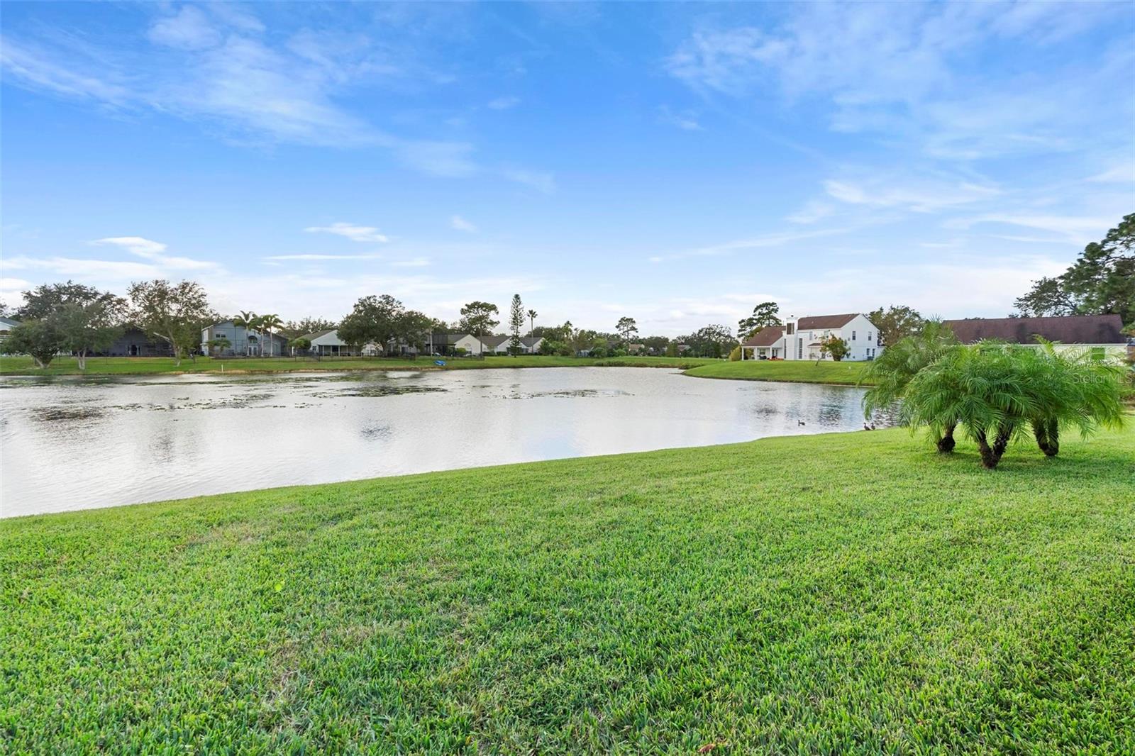 2626 RACCOON RUN LN, ORLANDO, FL, 32837