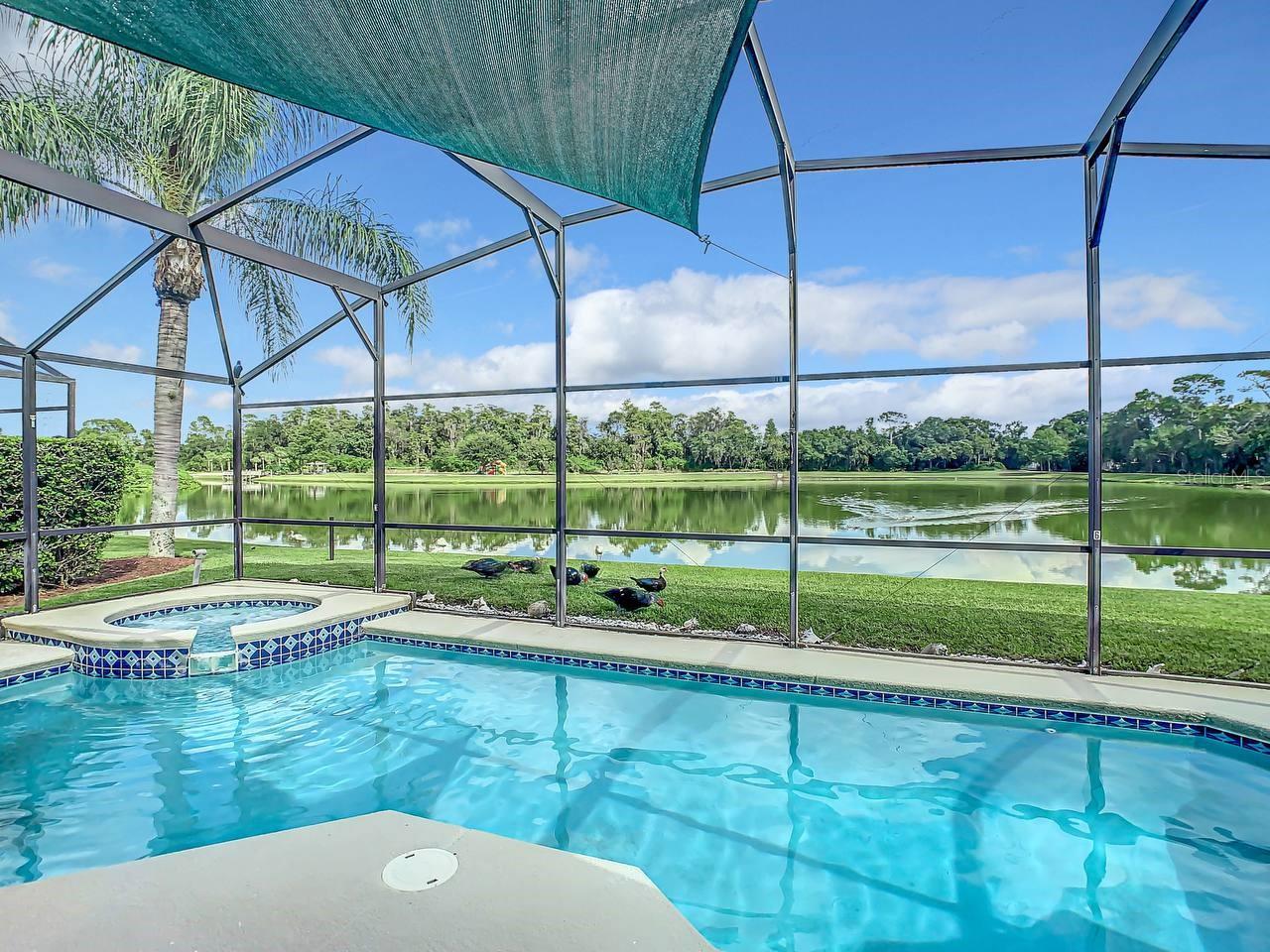 973 LAKE BERKLEY DR, KISSIMMEE, FL, 34746