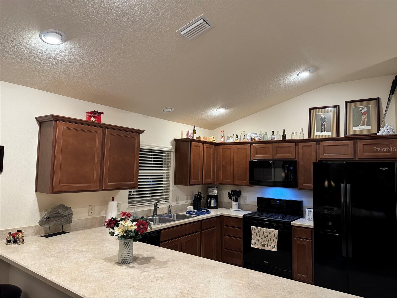5738 LEIGH LN, THE VILLAGES, FL, 32163