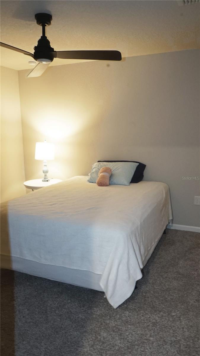 78 PINE ST, HOMOSASSA, FL, 34446