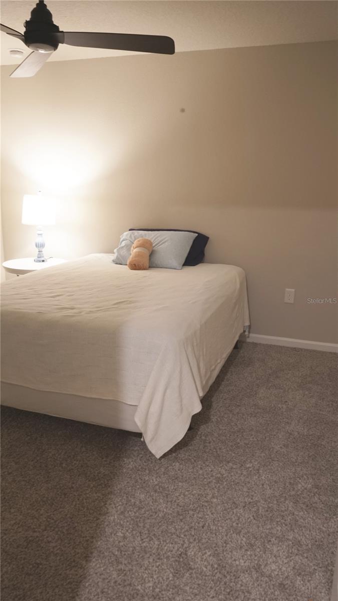 78 PINE ST, HOMOSASSA, FL, 34446