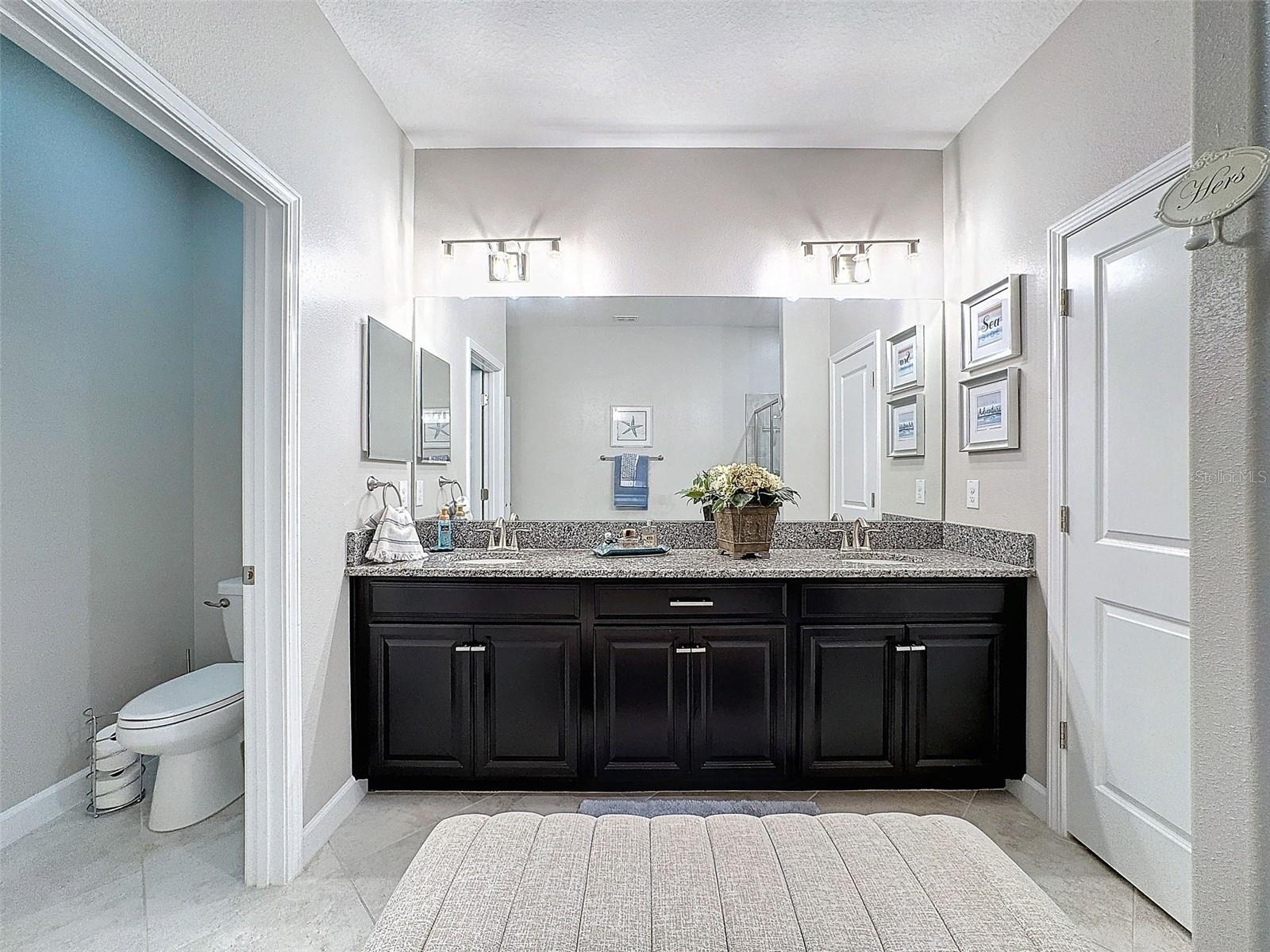 17046 BALANCE CV, LAND O LAKES, FL, 34638