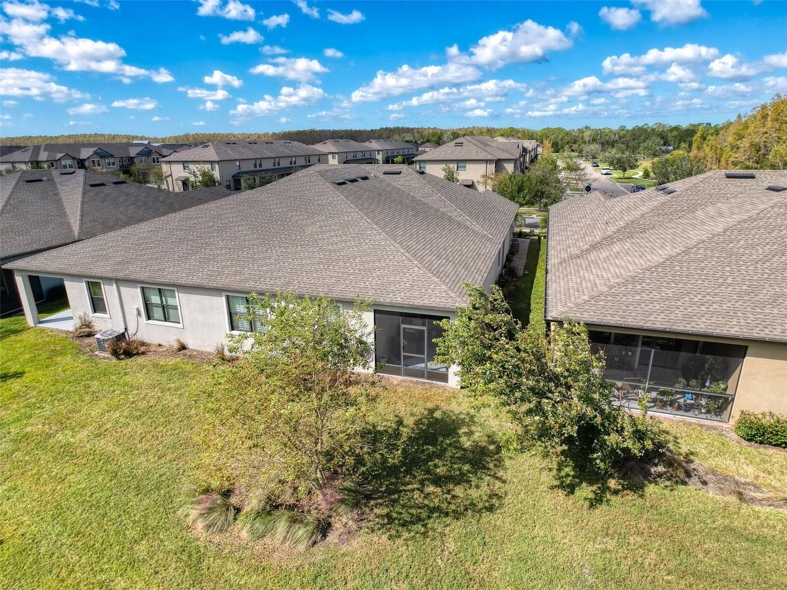 17046 BALANCE CV, LAND O LAKES, FL, 34638