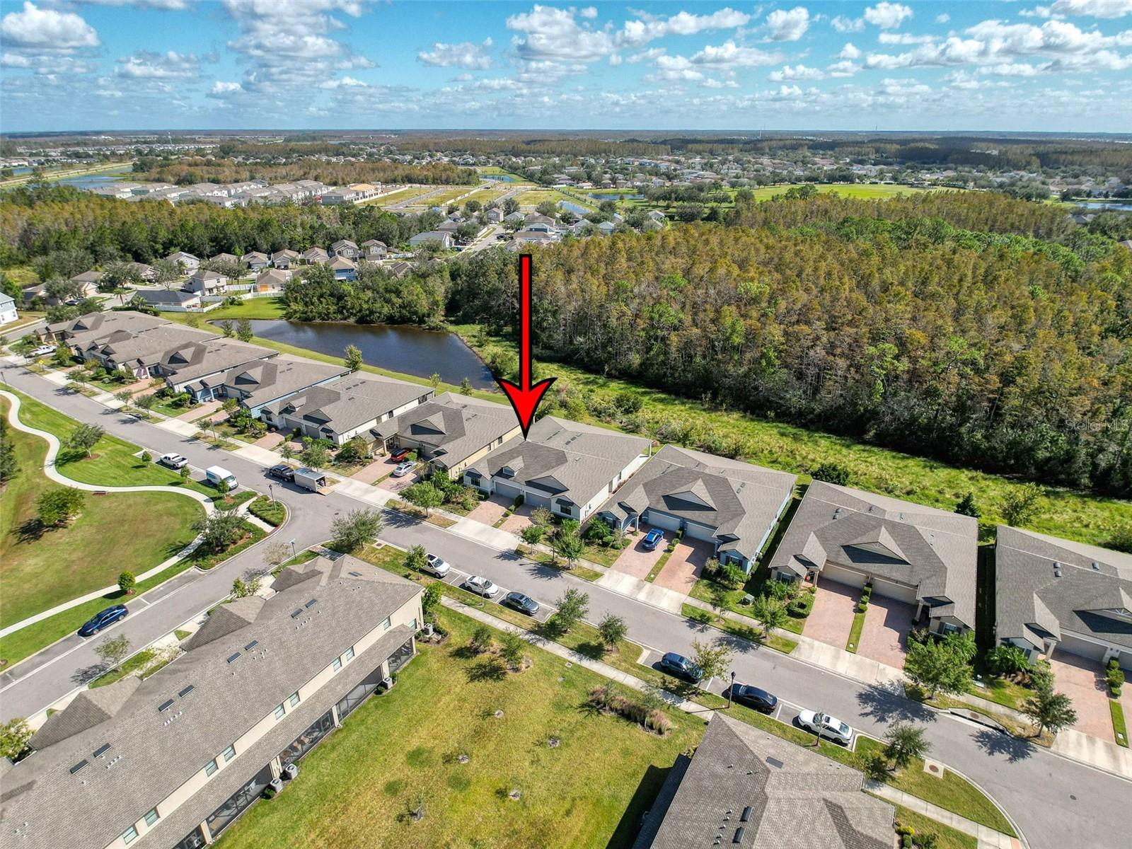 17046 BALANCE CV, LAND O LAKES, FL, 34638