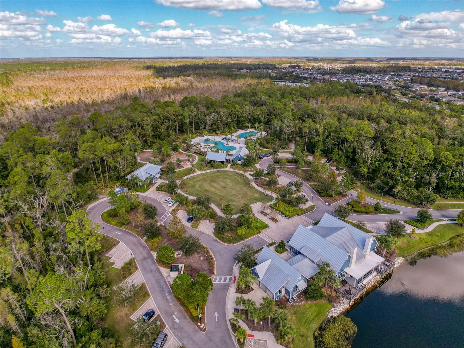 17046 BALANCE CV, LAND O LAKES, FL, 34638