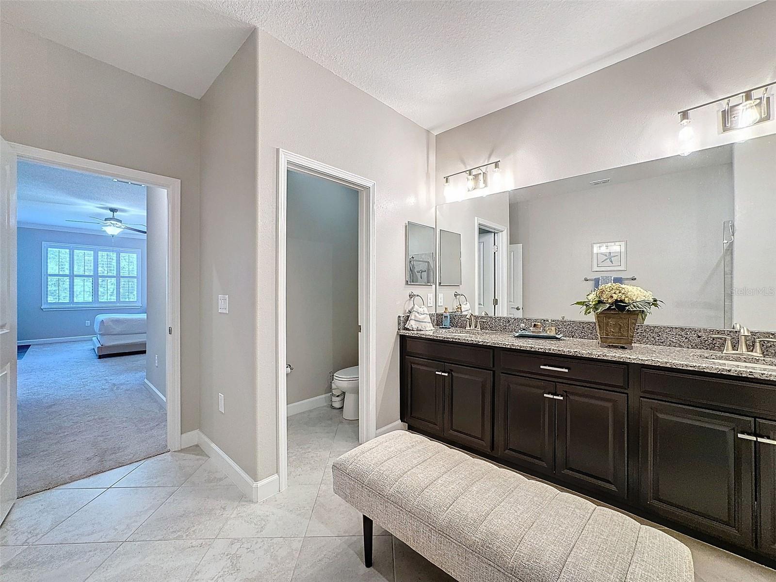 17046 BALANCE CV, LAND O LAKES, FL, 34638