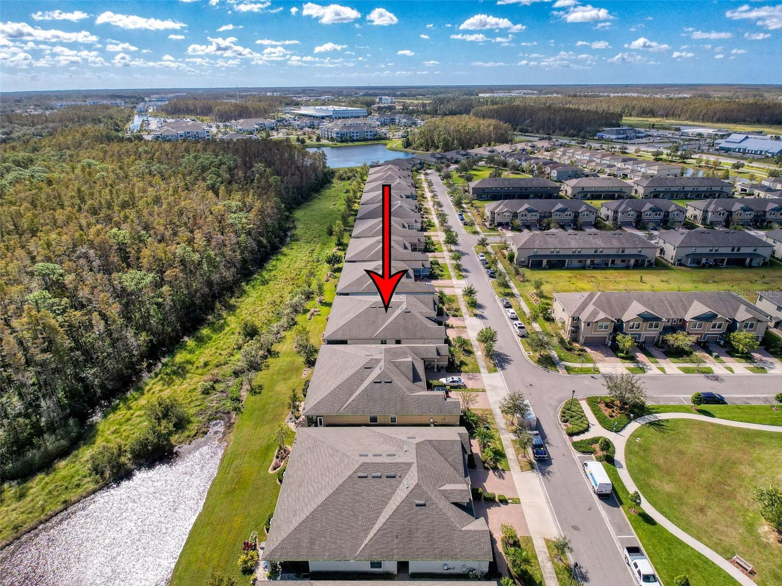 17046 BALANCE CV, LAND O LAKES, FL, 34638