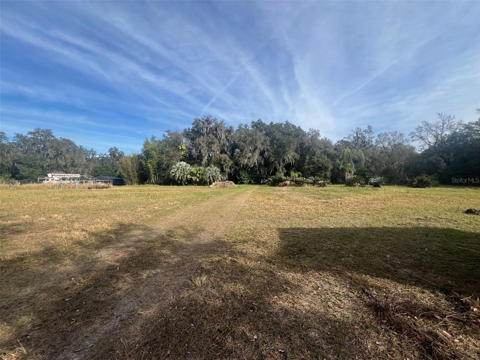 6650 HORTON RD, PLANT CITY, FL, 33567