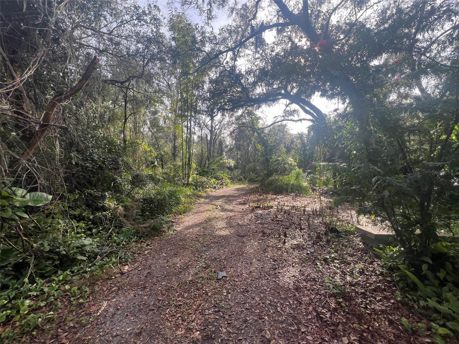 6650 HORTON RD, PLANT CITY, FL, 33567