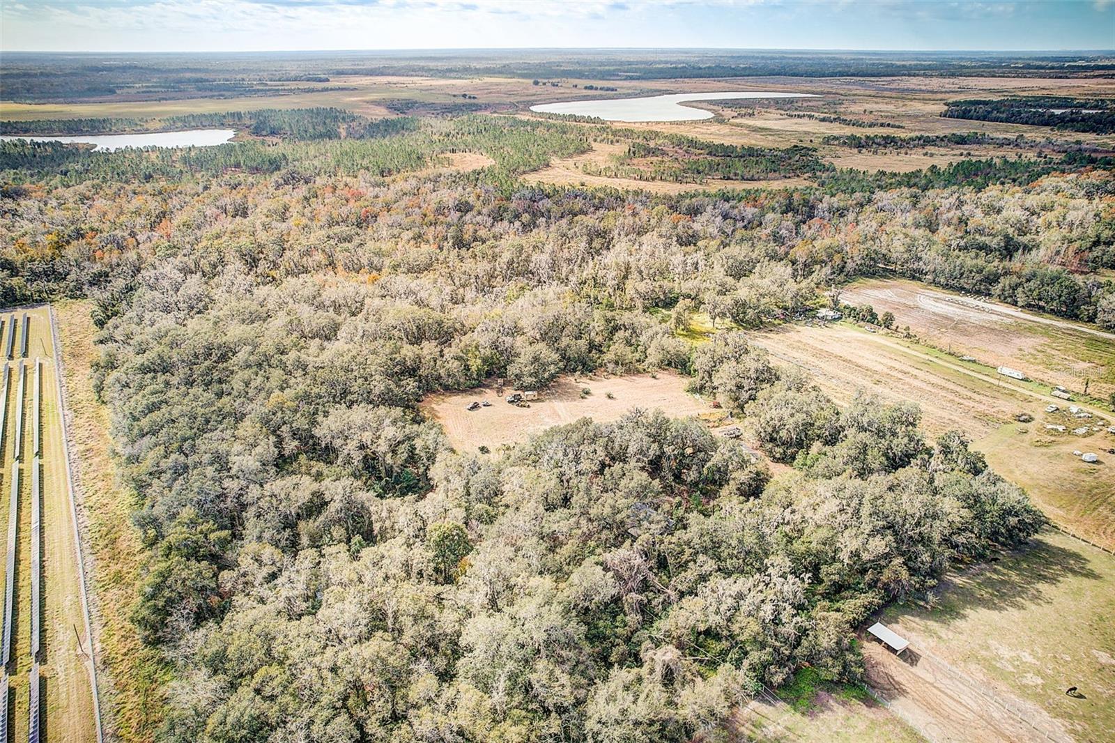 6650 HORTON RD, PLANT CITY, FL, 33567