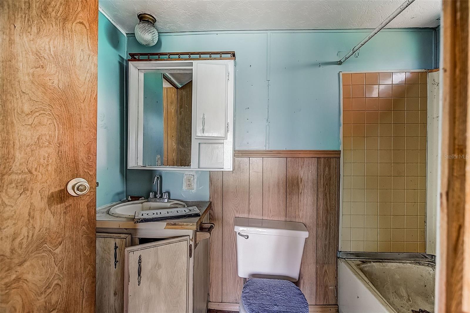 6650 HORTON RD, PLANT CITY, FL, 33567