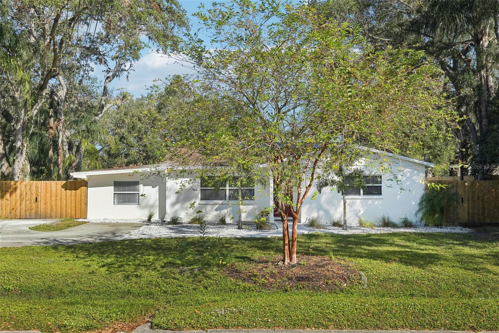 1505 CEDAR ST, SAFETY HARBOR, FL, 34695